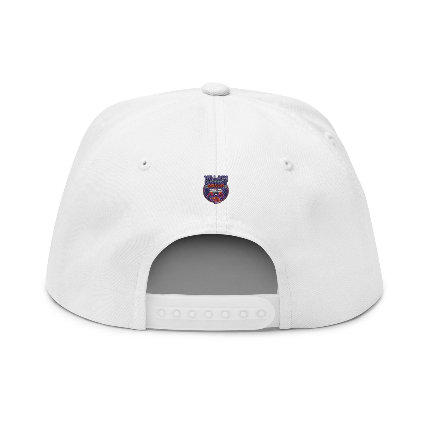 Villain Support Group - Flat Bill Snapback Cap — Embroidered Vintage Badged